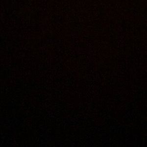 Meet your Posher, Rosaline